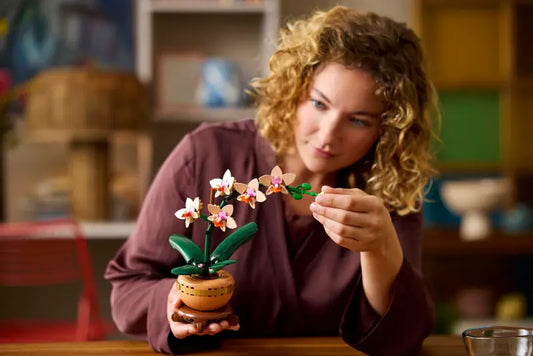 274 db-os Mini Orchidea